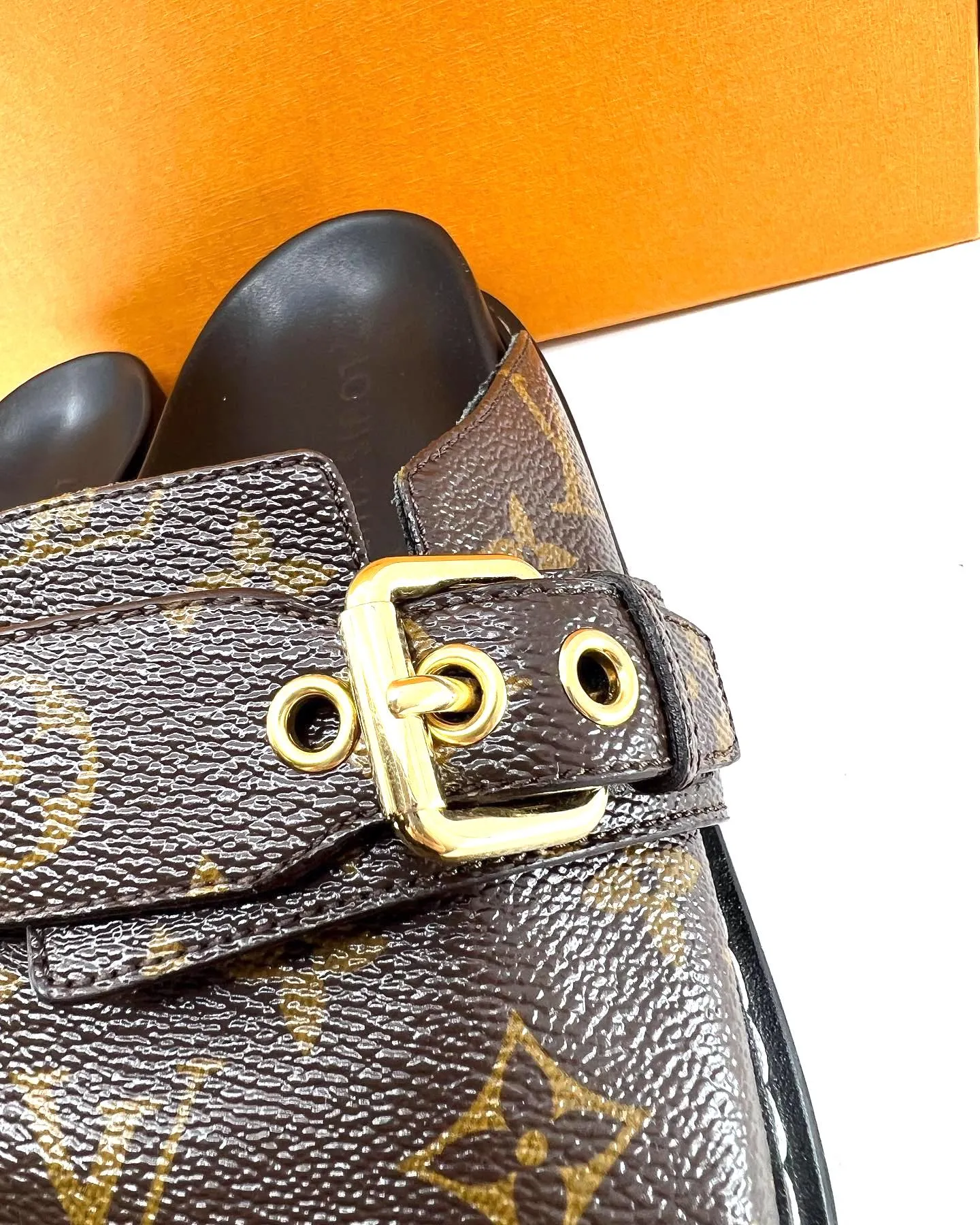 LOUIS VUITTON MONOGRAM COZY COMFY CLOG MULES