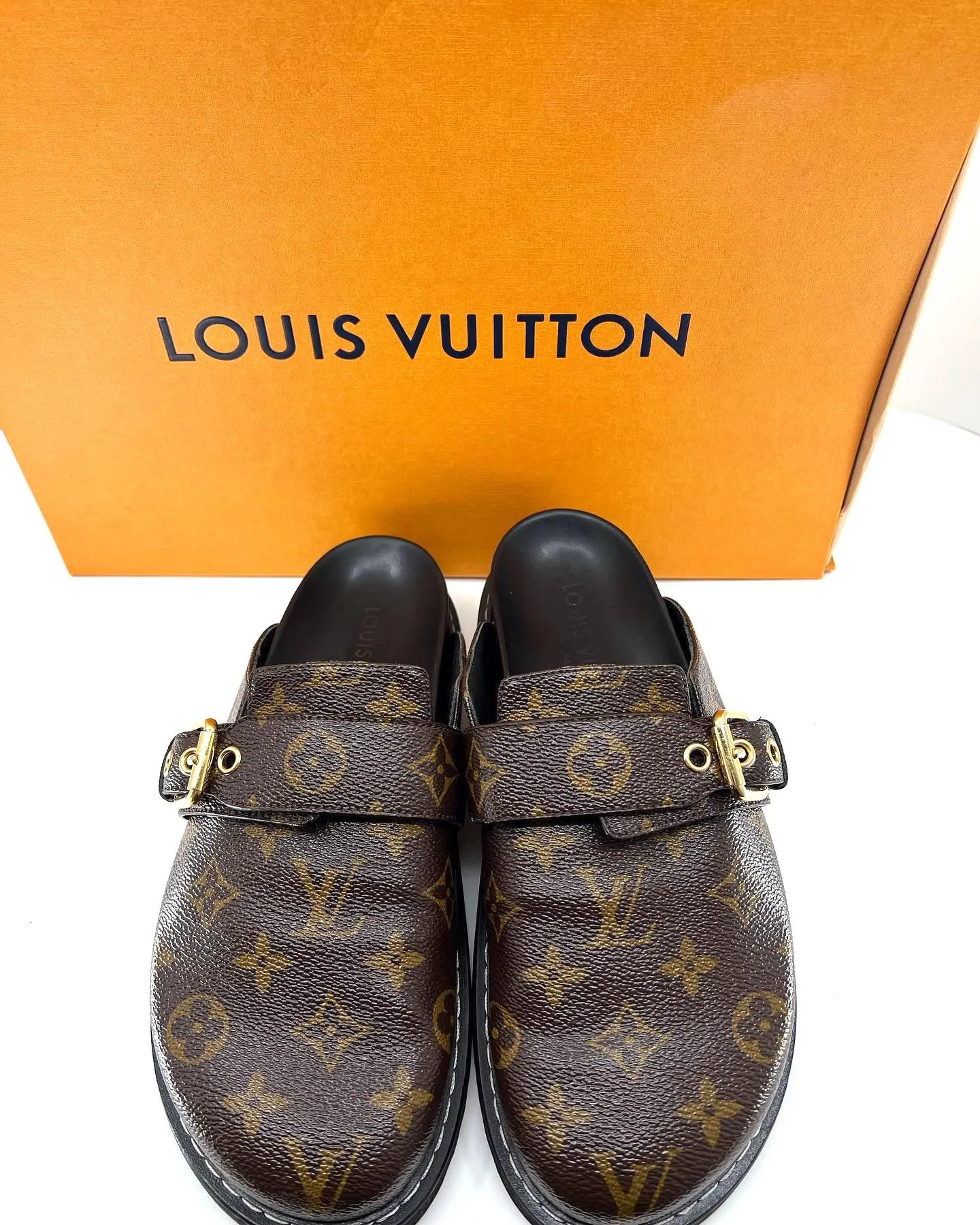 LOUIS VUITTON MONOGRAM COZY COMFY CLOG MULES