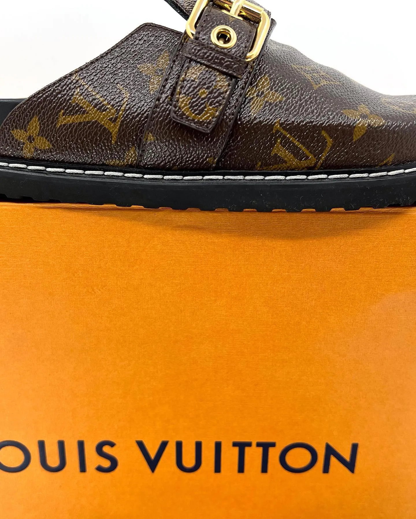 LOUIS VUITTON MONOGRAM COZY COMFY CLOG MULES