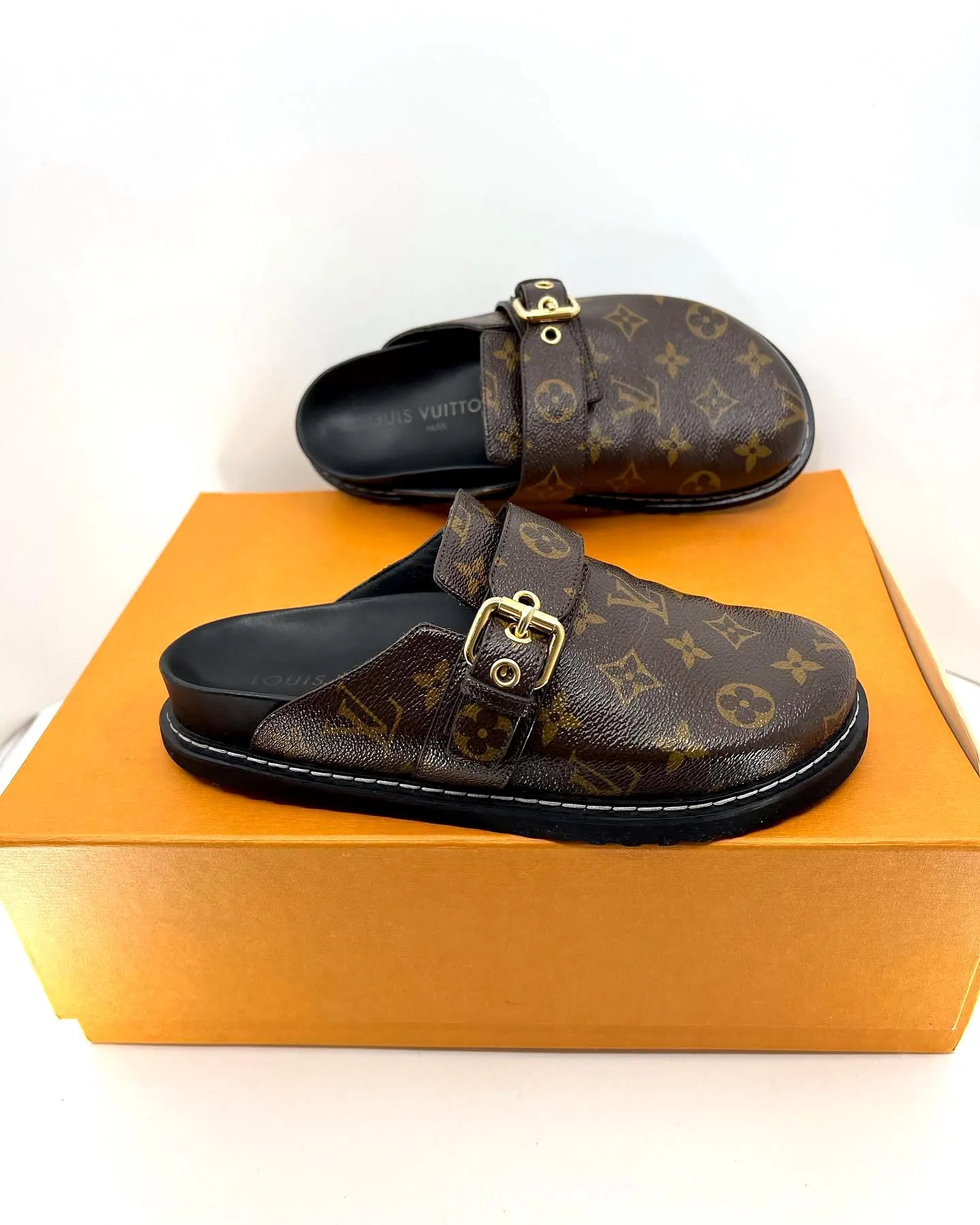 LOUIS VUITTON MONOGRAM COZY COMFY CLOG MULES