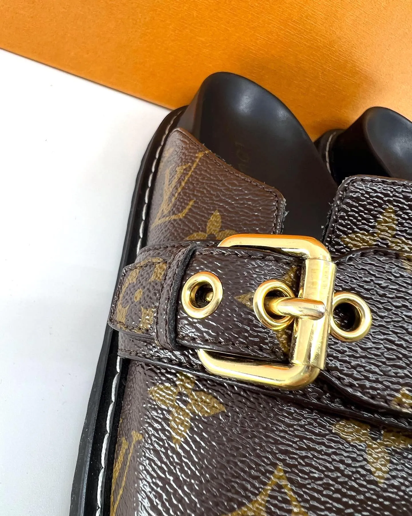 LOUIS VUITTON MONOGRAM COZY COMFY CLOG MULES