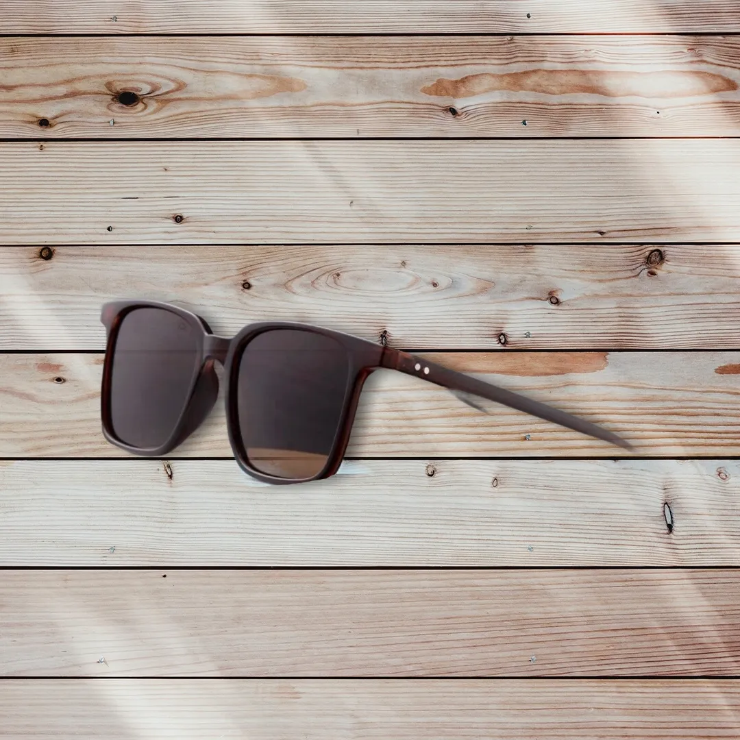 Men’s brown polarized sunglasses