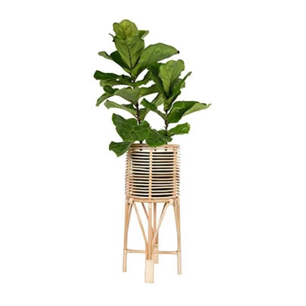 Rattan Indoor Plant Stand, Medium, Natural Planter Brown